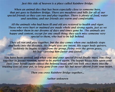  Rainbow Bridge - Een Verhaal van Troost en de Magie van de Natuur!